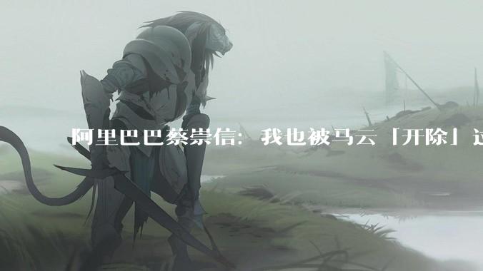 阿里巴巴蔡崇信：我也被马云「开除」过_业务_团队_首席