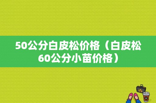 50公分白皮松价格（白皮松60公分小苗价格）-图1