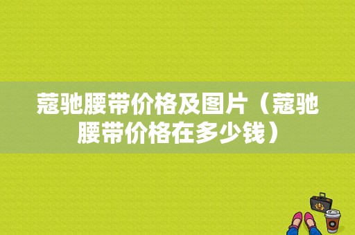 蔻驰腰带价格及图片（蔻驰腰带价格在多少钱）