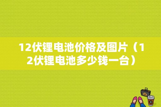 12伏锂电池价格及图片（12伏锂电池多少钱一台）