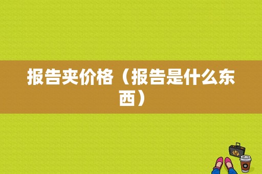 报告夹价格（报告是什么东西）
