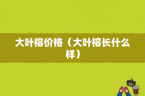 大叶榕价格（大叶榕长什么样）