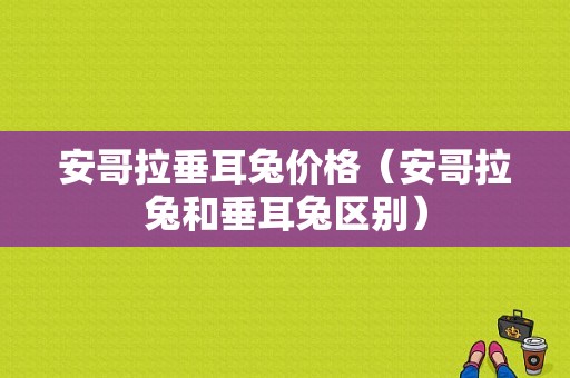安哥拉垂耳兔价格（安哥拉兔和垂耳兔区别）-图1