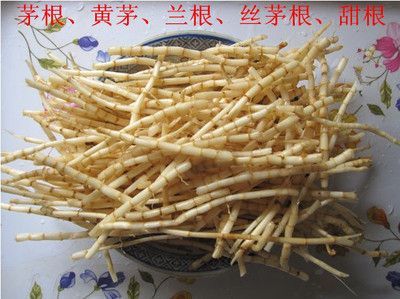 黄茅根价格（黄茅草根的药用价值）