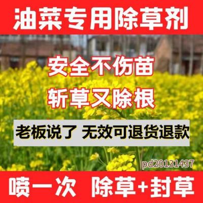 禾阔净价格（禾阔什么意思）