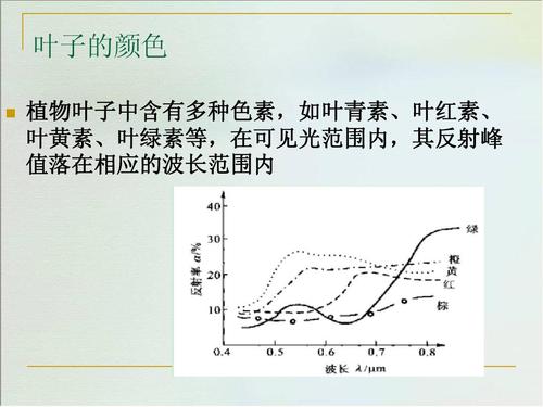 叶青素价格（叶青素和叶黄素的区别）-图2