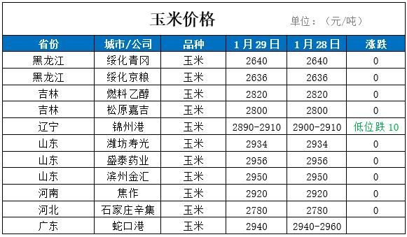 济源玉米价格（济源玉米价格今日行情）