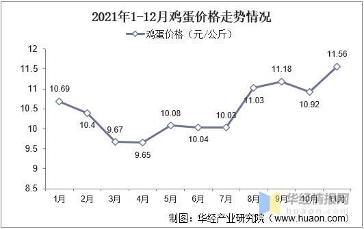 黄岛鸡蛋价格（青岛鸡蛋价格走势）-图3