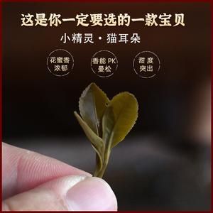 山茶耳价格（山茶树茶耳朵）