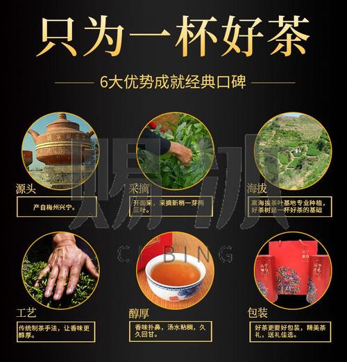 兴宁单茶价格（兴宁单枞王茶是什么茶）