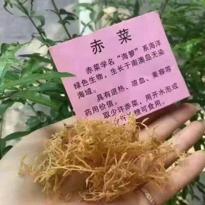 赤菜的价格（赤菜的药用价值）