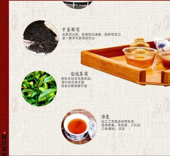 黑美人黑茶价格（黑美人茶叶的功效与作用）