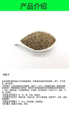 地夫子价格（中药地夫子的药性）