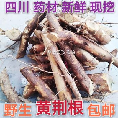 黄荆根价格（黄荆根的功效与作用）-图2