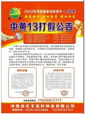 中黄13价格多少（中黄13审定公告）-图1