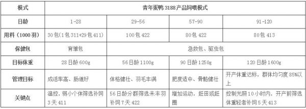 蛋鸭料价格（蛋鸭料比怎么算）