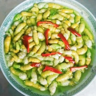 豆虫价格（豆虫价格行情）-图1