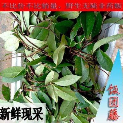 风沙藤价格（风沙藤的中药别名）-图2