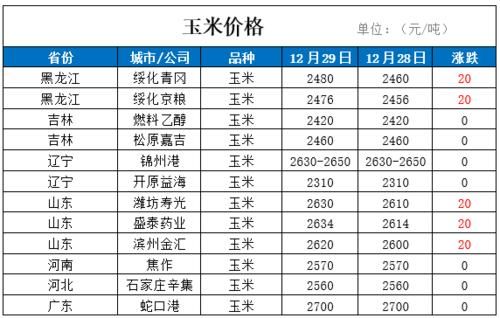 邢台玉米价格（河北邢台玉米价格）-图1