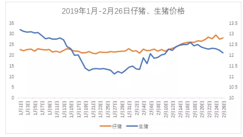 荆门生猪e网价格（荆门仔猪市场价格）