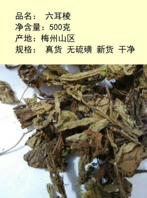 六耳棱价格（六耳棱的疗效与功用）