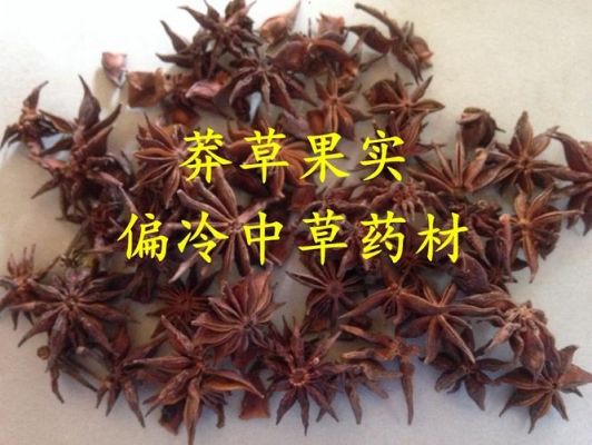 莽草的价格（莽草长什么样）