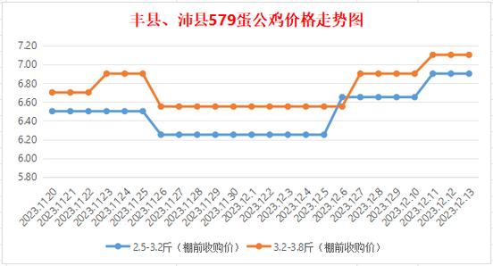 红公鸡价格行情（红公鸡价格行情走势）