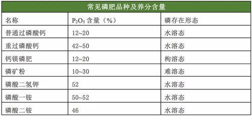 赛众28肥料价格查询（赛种二八肥料的价格）-图1