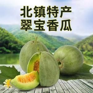 北镇香瓜价格表（锦州北镇香瓜）-图2