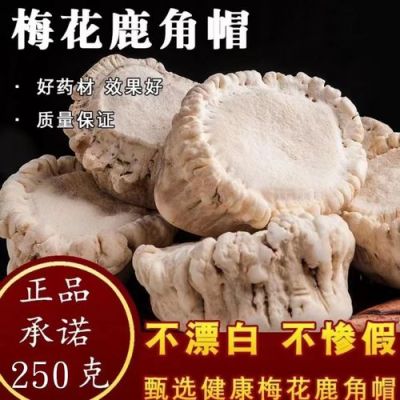 鹿盘价格（鹿盘粉的功效和副作用）-图1