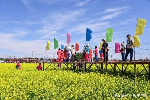 包含刘台子油菜花门票价格的词条