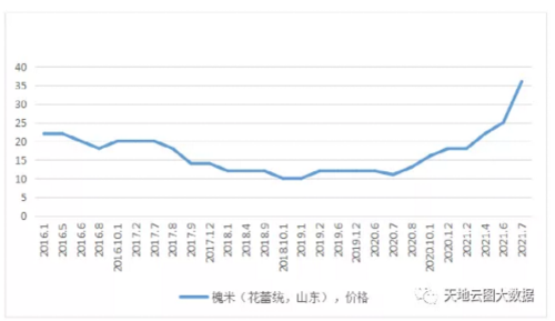 广西槐米价格走势（广西槐米价格走势图最新）