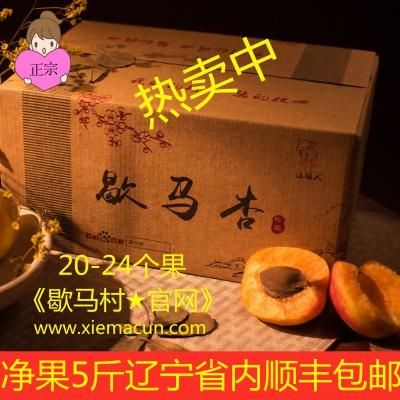 歇马杏价格（歇马杏的由来）-图2