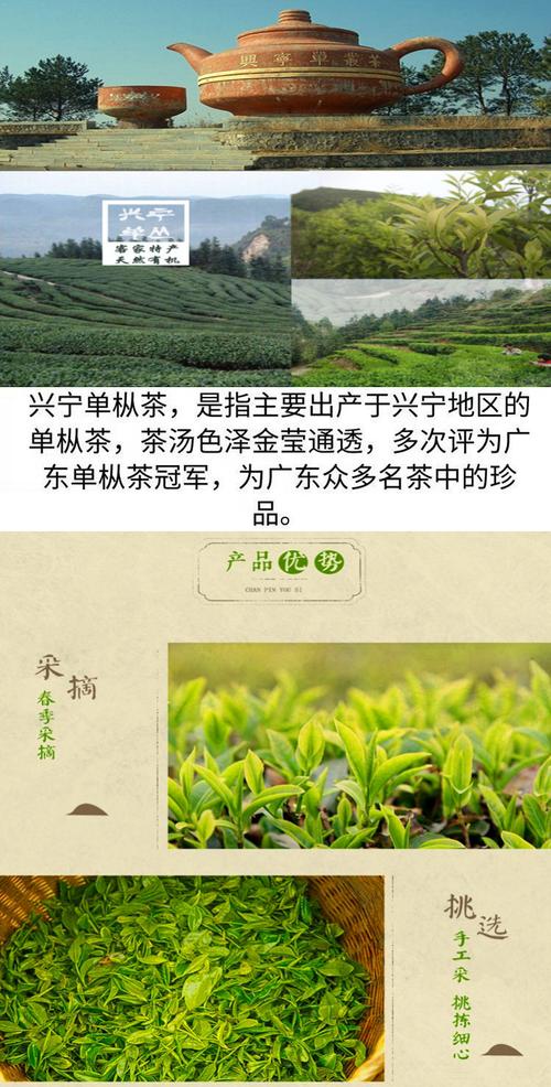 兴宁单茶价格（兴宁单丛茶是什么茶类）