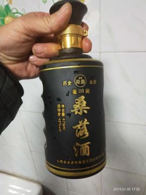 桑落酒价格表（桑落王酒业20价格）-图1