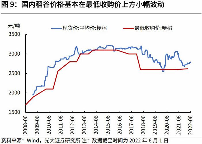 2017年黑水稻价格（2020黑水稻今后的价格走势）-图3