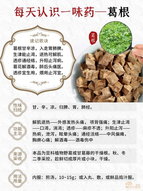 葛条根价格（葛根条的作用与功效）