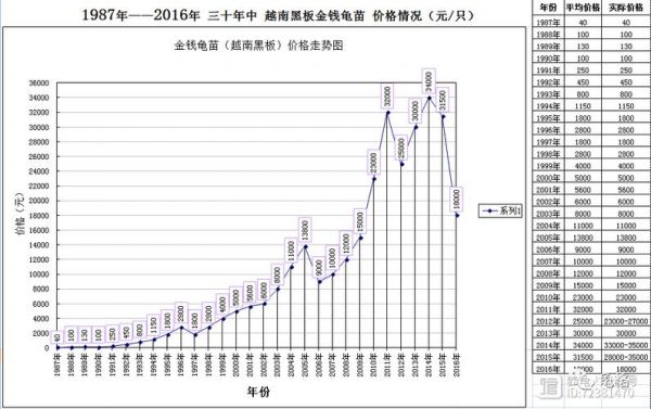 金钱龟历史价格（金钱龟历史价格走势图）