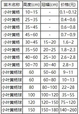 杨树的价格多少钱一方（杨树价格多少钱一方2024）