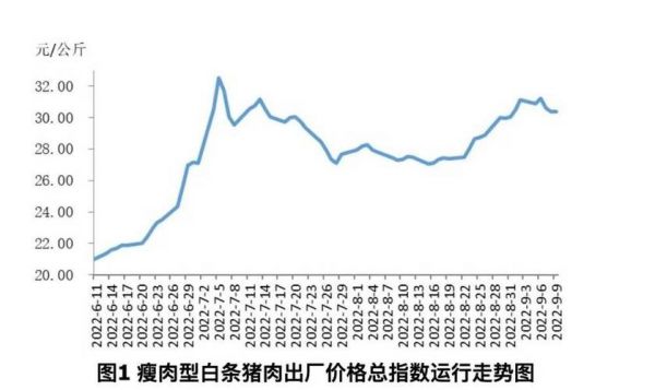 天门肉猪价格（天门肉猪价格走势）