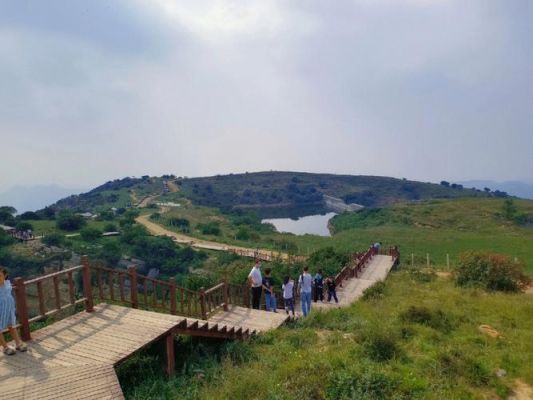 嵩顶普洱价格（嵩顶风景区）