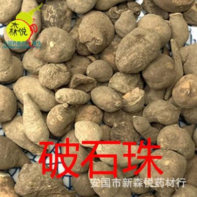 破石珠价格（破石珠有什么用处）-图1