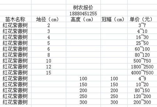 紫木树价格（紫树木材）-图2