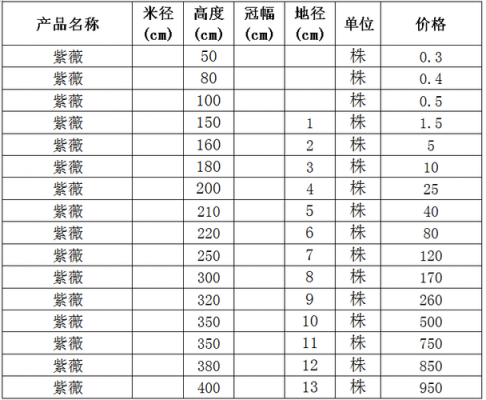 紫木树价格（紫树木材）-图3