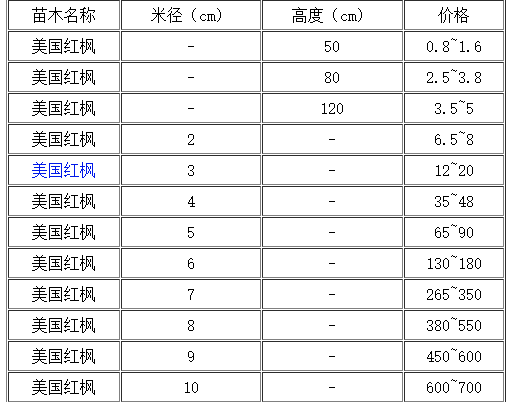 广伞枫价格（幌伞枫树价格）-图2