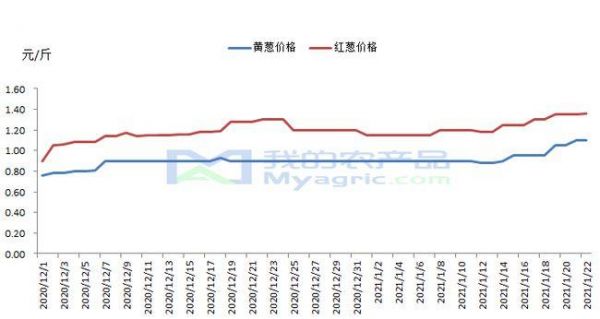 小葱价格行情（小葱价格行情走势图）-图1